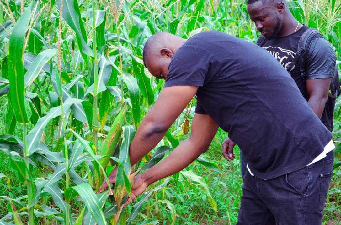 Chairman Wontumi Farms In Ghana